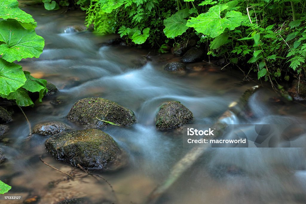 Wasserfall - Lizenzfrei Nationalpark Great Smoky Mountains Stock-Foto