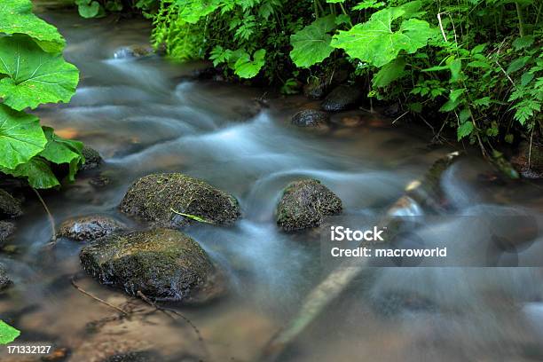 Wasserfall Stockfoto und mehr Bilder von Nationalpark Great Smoky Mountains - Nationalpark Great Smoky Mountains, Amerikanische Kontinente und Regionen, Bach
