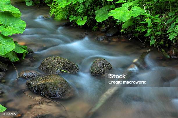 Cascata - Fotografias de stock e mais imagens de Parque nacional das montanhas de Smoky - Parque nacional das montanhas de Smoky, Ao Ar Livre, Arbusto