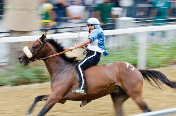 이 팔리오 리우로 - palio horse italy jockey 뉴스 사진 이미지
