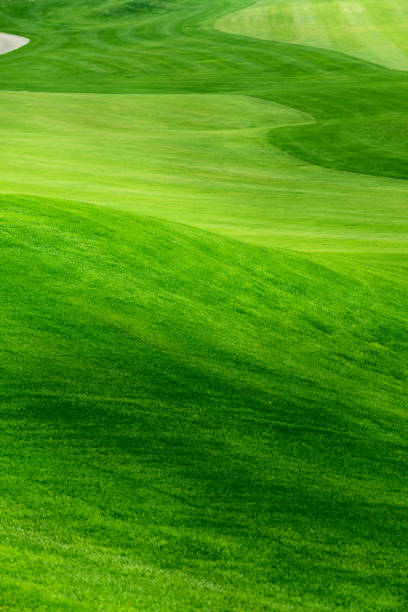 golf golfplatz - golfplatz green stock-fotos und bilder