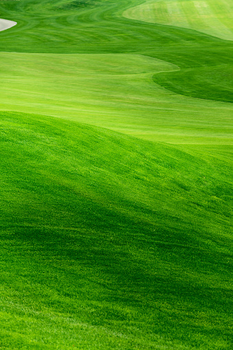 Green golf course background