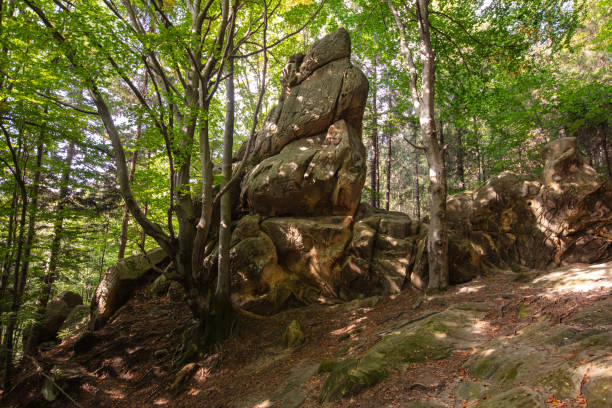 istock Tustan fortress - archeological and natural monument 1713329805