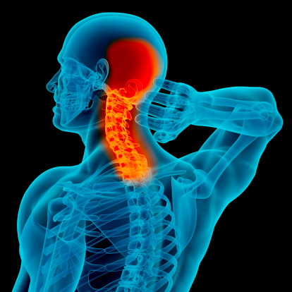 Anatomía de un hombre mostrando dolor de cabeza y cuello photo