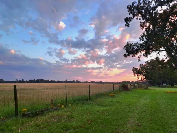istock Blanton farms 1713331500