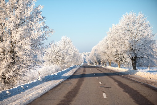 A scenic winter scene featuring a stretch of road surrounded by tall snow-covered trees