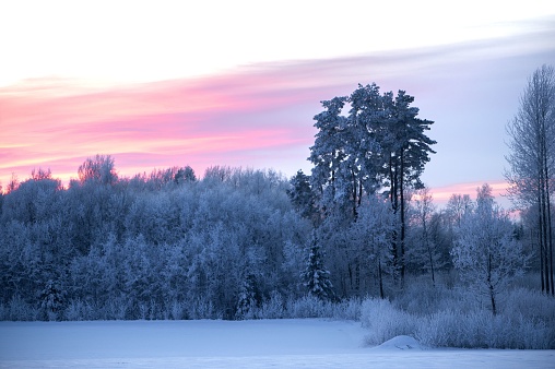 A picturesque winter landscape at sunset, featuring a frozen field blanketed in a thick layer of ice