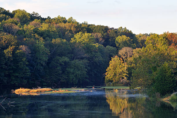 istock Green Lane Lake 171333382