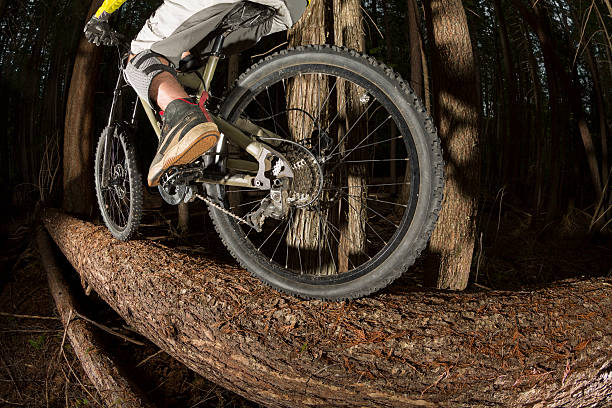 istock Mountain bike log ride 171333416