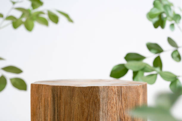 istock Wooden podium table top blurred green leaf plant on white empty space nature background.Beauty cosmetic natural product modern stage display. 1713334968