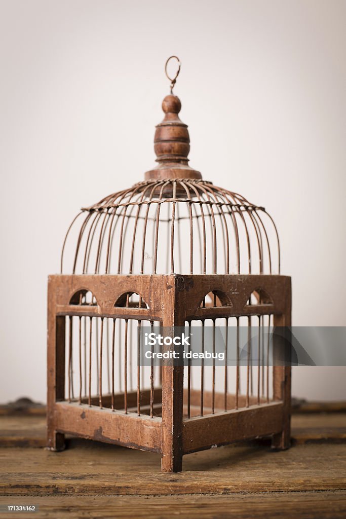 Image gros plan, couleur Vintage Cage à oiseaux - Photo de Cage libre de droits