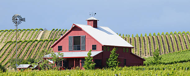 napa valley bauernhaus - california napa valley vineyard farmhouse stock-fotos und bilder
