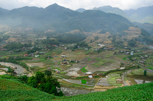 Aerial view of the rice terraces in rainy season sapa District, Lao Cai Province, Northwest Vietnam.