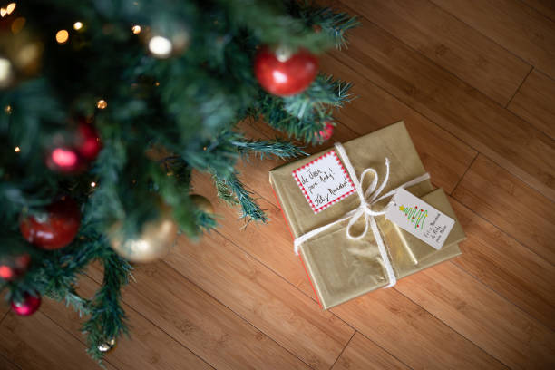 Beautiful gift under the Christmas Tree