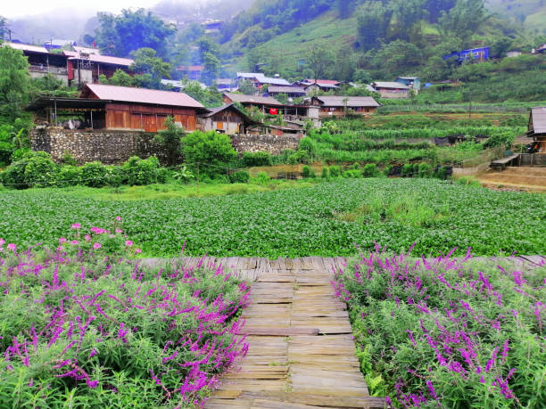 istock Cat Cat Village, Sapa Vietnam. 1713348063