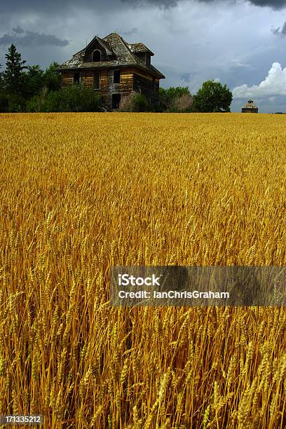 Los Agricultores Campo Foto de stock y más banco de imágenes de Manitoba - Manitoba, Casa, Granja