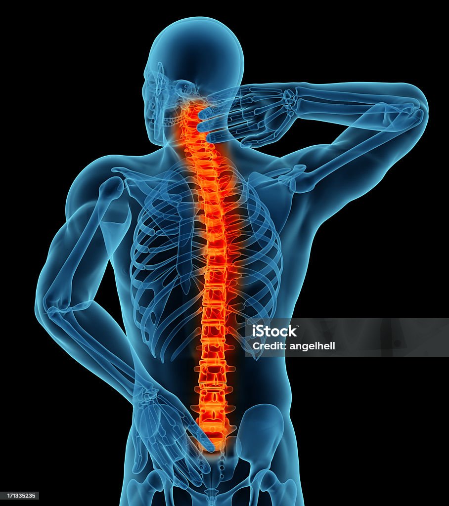 Anatomie d'un homme montrant une douleur dans le dos - Photo de Mal de dos libre de droits