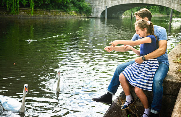 istock Father and daughter feeding swans by a river 171335396