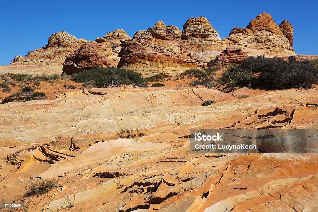 Paisagem do deserto - Foto de stock de Amarelo royalty-free