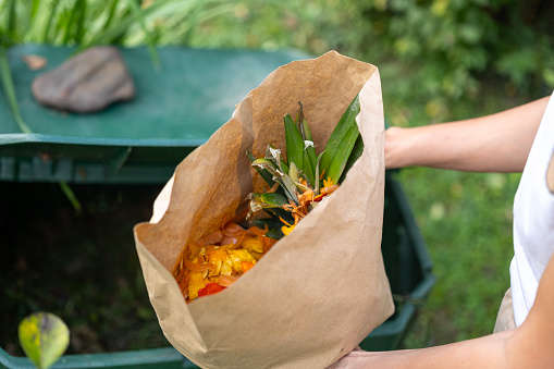 Close up of a woman holding food leftovers next to the compost in the garden.