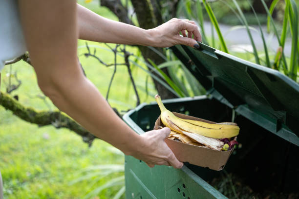 Close up of a woman throwing food leftovers into the compost in the garden.