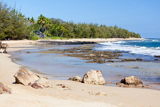 マハ'ulepu ビーチ、カウアイ島 - mahaulepu beach ストックフォトと画像