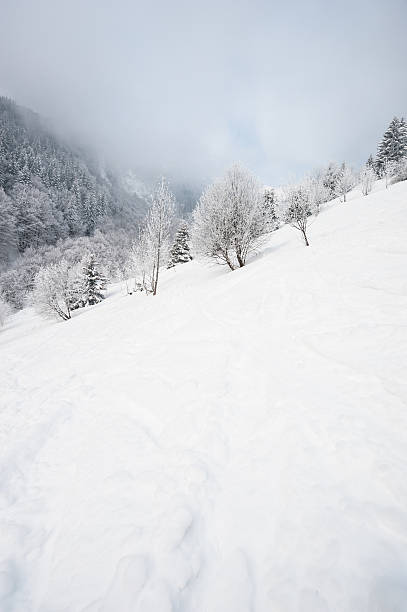 istock Winter Landscape with Snow and Trees 171336375