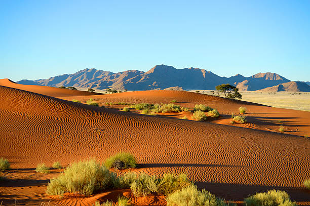 istock Red dunes, bushes and mountains in background 171336377