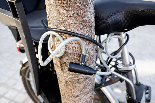 Bicycle chained to the trunk of a tree on the public road, with a padlock.