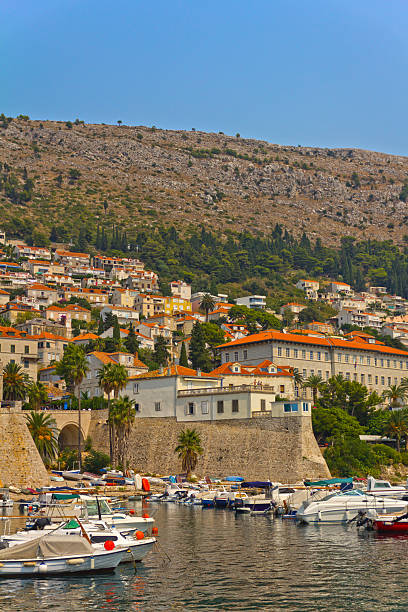 istock Harbour of Dubrovnik 171336742