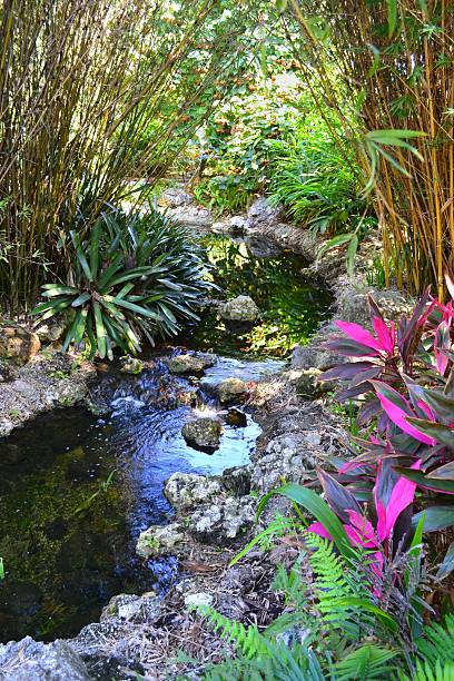 istock Beautiful Tropical Garden and Rocky Stream Vertical 171337098