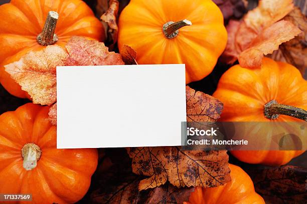Decoração De Outono Com Um Cartão Vazio - Fotografias de stock e mais imagens de Abóbora - Abóbora, Abóbora de Inverno, Abóbora-Menina - Cucúrbita