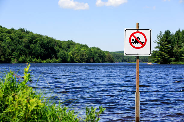 istock No swimming sign in a lake 171337667