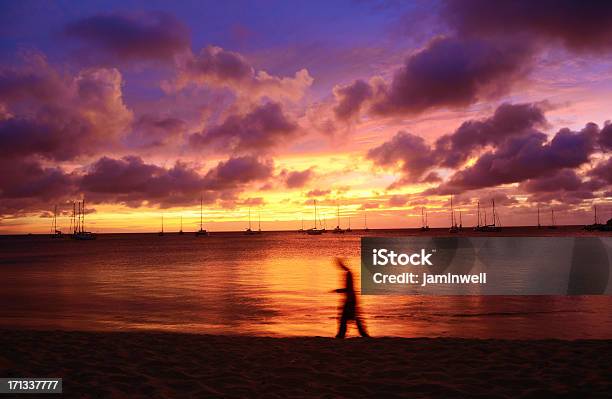 息を呑むようなビーチの夕日 - バルバドスのストックフォトや画像を多数ご用意 - バルバドス, 日没, 1人