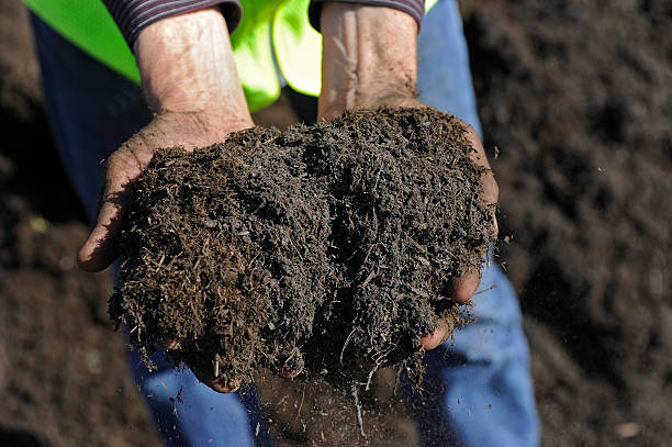 mains tenant le compost - ground preparing photos et images de collection