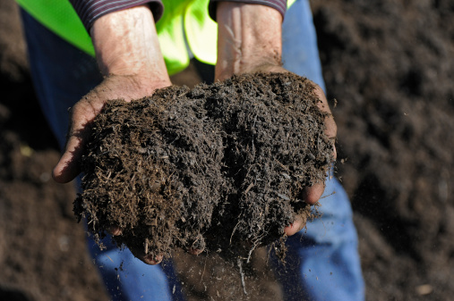 Hands holding Compost