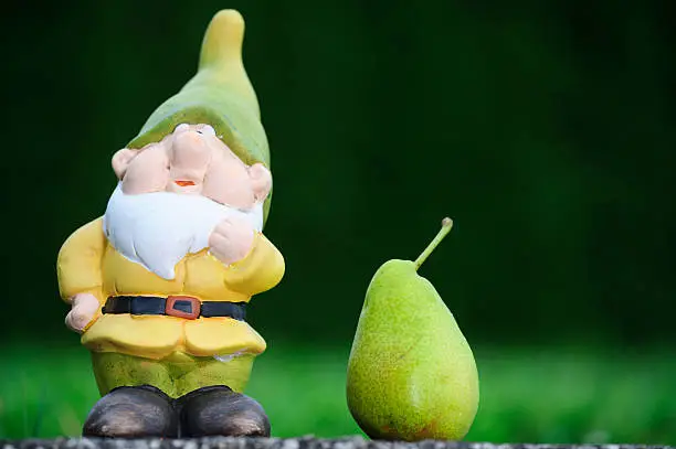 Photo of Garden Gnome with pear