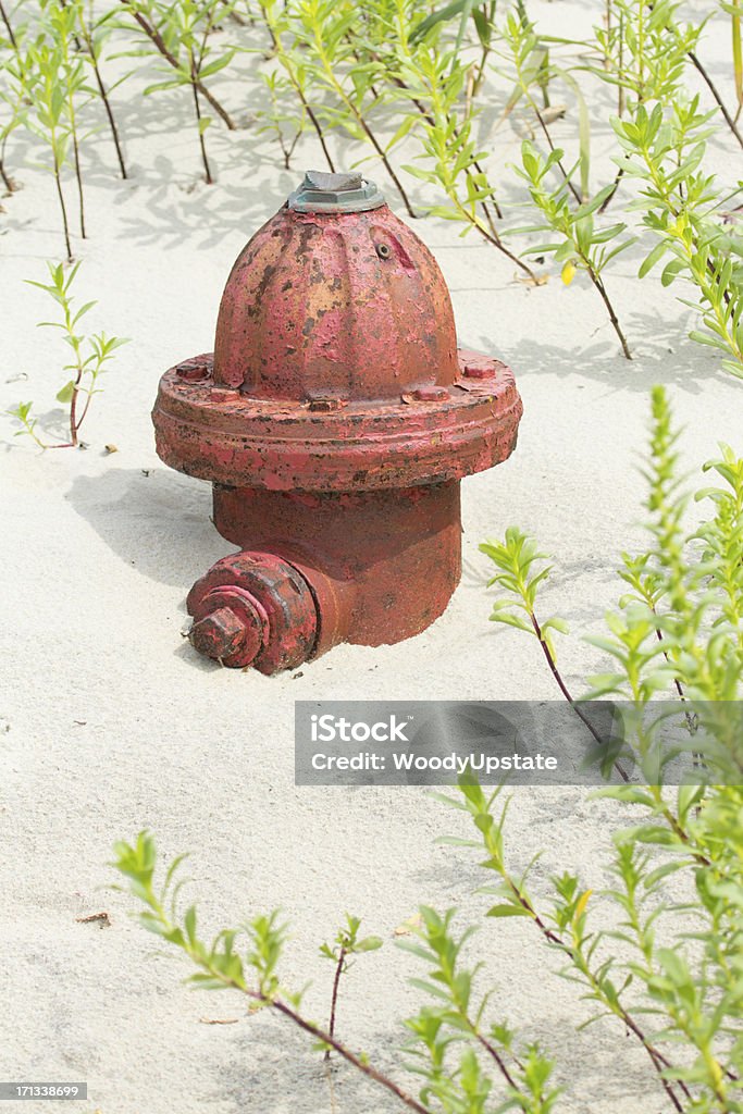 Spring Hydrant Buried Buried Fire Hydrant Stock Photo - Download Image Now - Beach, Bolt ...
