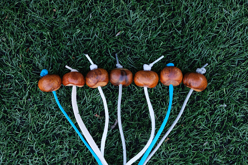 Chestnuts on strings on artificial lawn. Accessories for  Conkers game. Conkers is a traditional children game played using seeds of horse chestnut trees. Autumn entertainment.