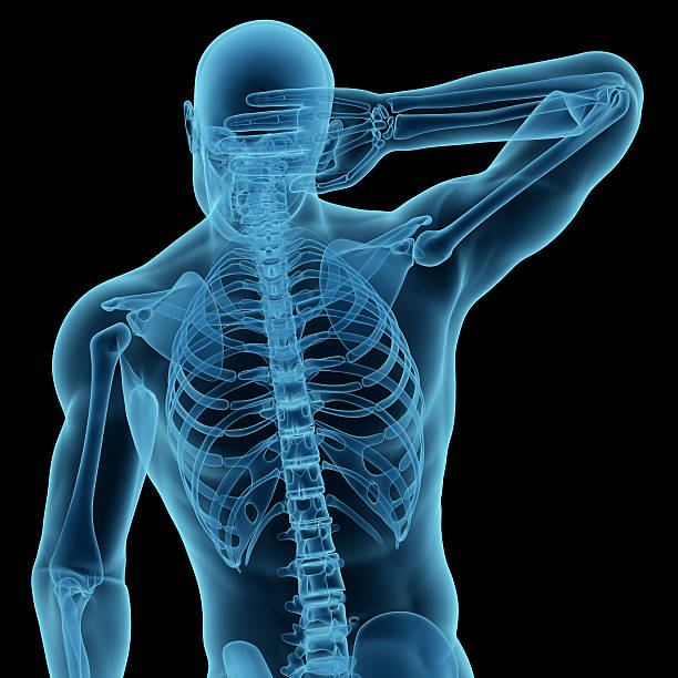 anatomia de um homem com as mãos no pescoço - human spine anatomy x ray the human body - fotografias e filmes do acervo