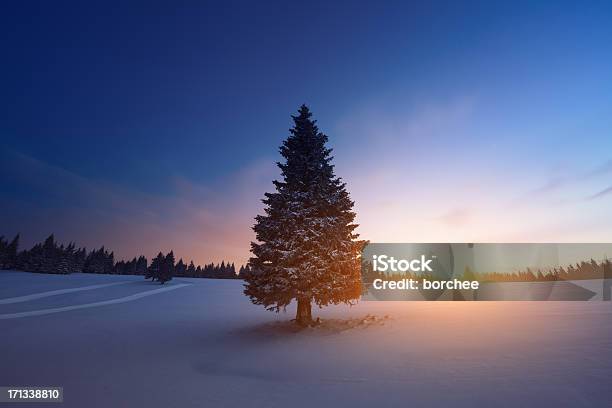 冬の日の出 - クリスマスのストックフォトや画像を多数ご用意 - クリスマス, 自然の景観, 冬