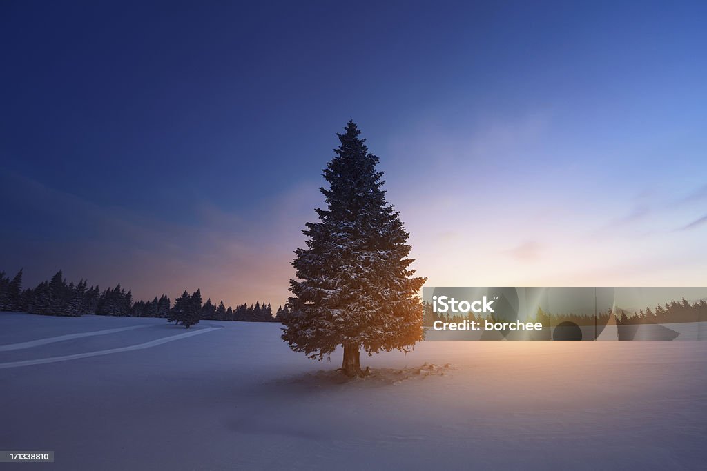Zimowy wschód słońca - Zbiór zdjęć royalty-free (Boże Narodzenie)