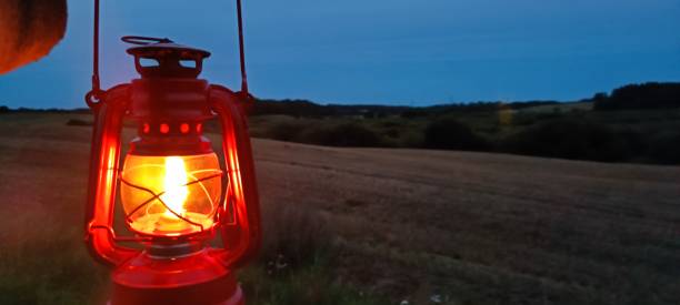 Free Stock Photo of Woman Holding Lantern in Field | Download Free ...
