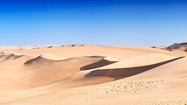 grande mer de sable, désert lybien, afrique - great sand sea photos et images de collection