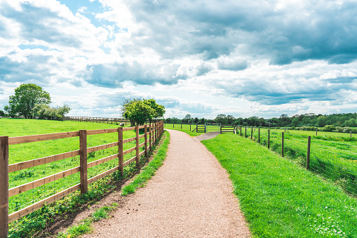 English countryside valleys and hills far into the distance, England's countryside, a journey through timeless old trees and picturesque landscapes.