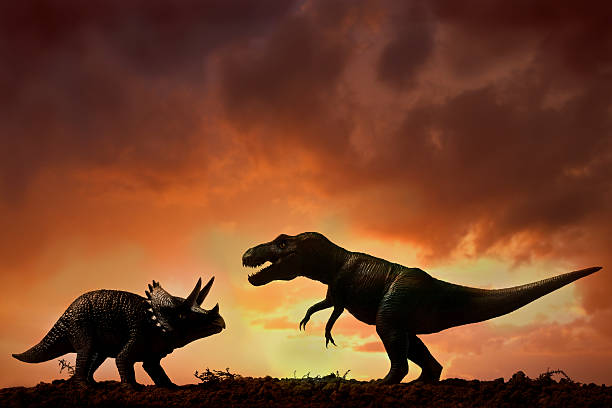 Dinosaurs Dinosaurs fight in nature. extinct stock pictures, royalty-free photos & images