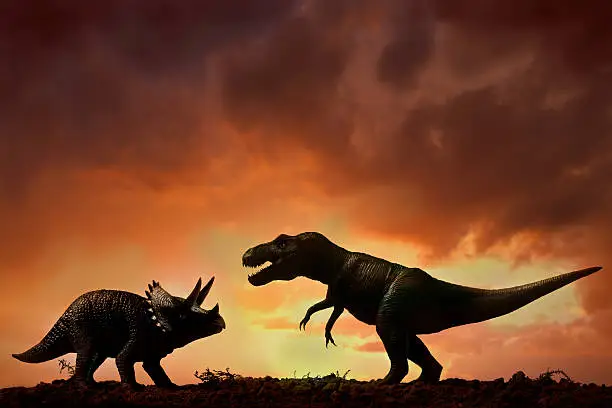 Dinosaurs fight in nature.