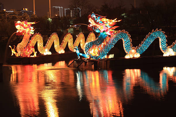 Chinese traditional dragon lantern Chinese traditional dragon lantern chinese lantern lily photos stock pictures, royalty-free photos & images