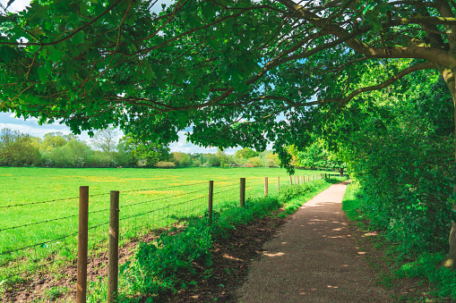 A macadam footpath in Ouse Valley Park, UK