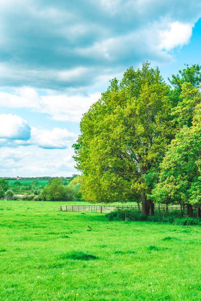 istock Summer Landscape in Ouse Valley Park, UK 1713393356